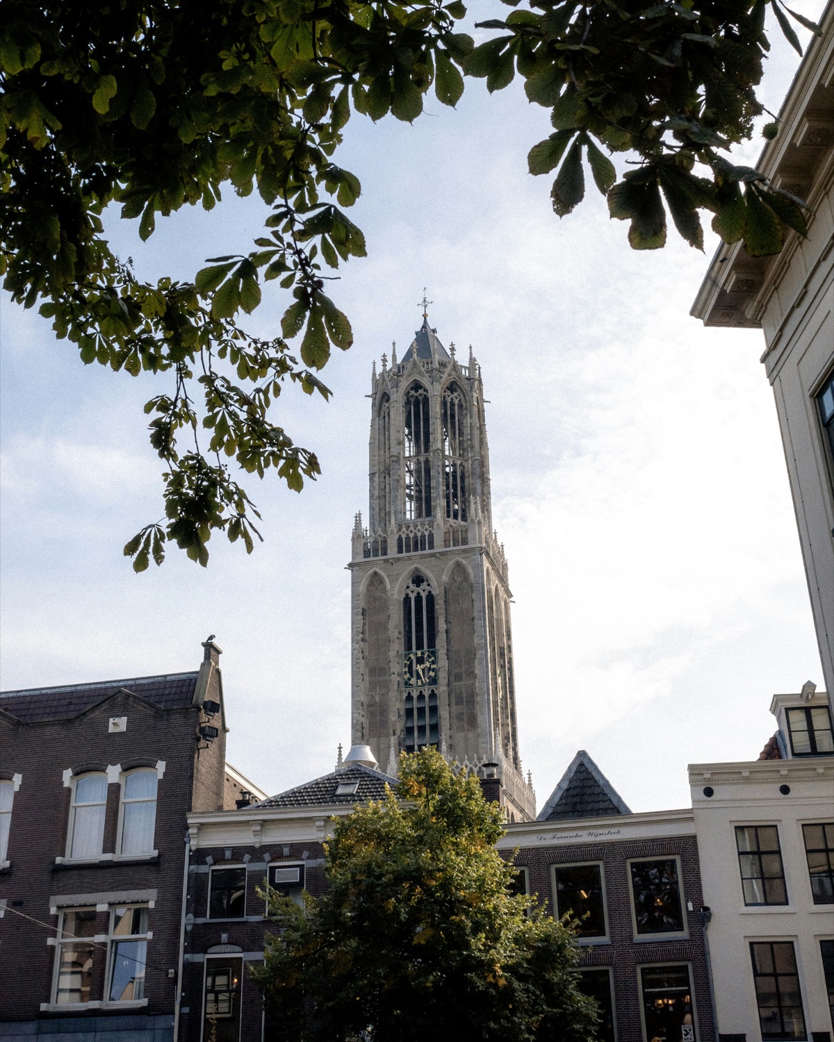 The Dom Tower rising above the canal houses of Utrecht
